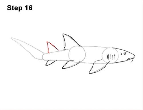 nurse shark coloring page