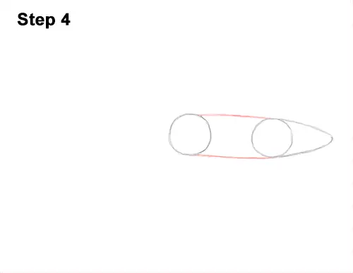 How to Draw a Nurse Shark 4