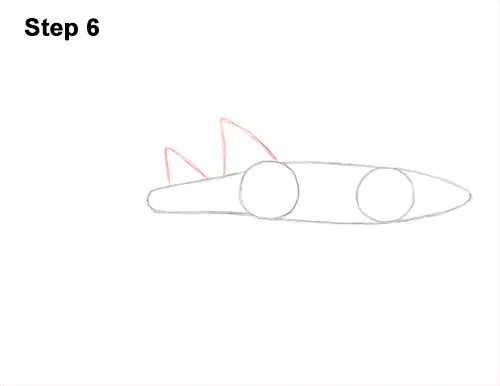 How to Draw a Nurse Shark 6