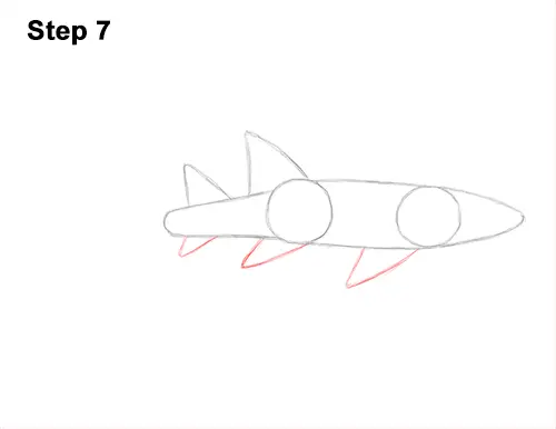 How to Draw a Nurse Shark 7