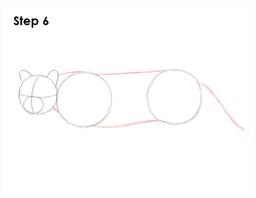 Draw Ocelot 6
