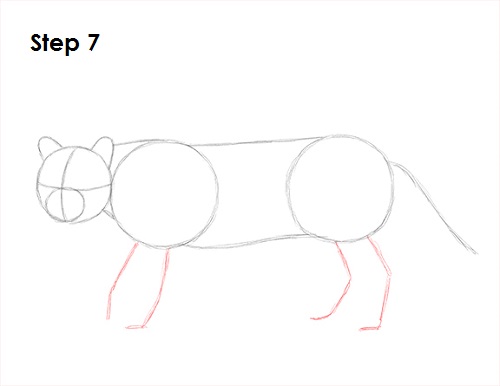 Draw Ocelot 7