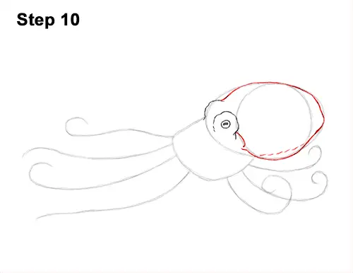 How to Draw an Octopus Swimming Tentacles 10