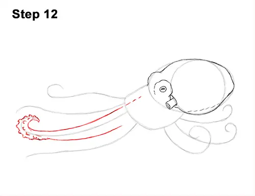 How to Draw an Octopus Swimming Tentacles 12