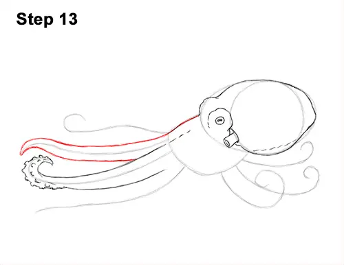 How to Draw an Octopus Swimming Tentacles 13