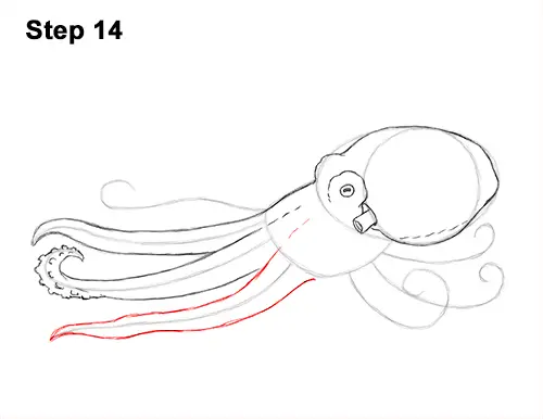 How to Draw an Octopus Swimming Tentacles 14
