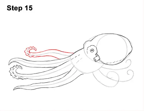 How to Draw an Octopus Swimming Tentacles 15
