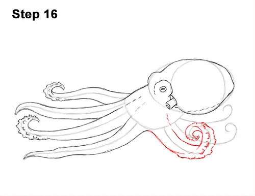 How to Draw an Octopus Swimming Tentacles 16