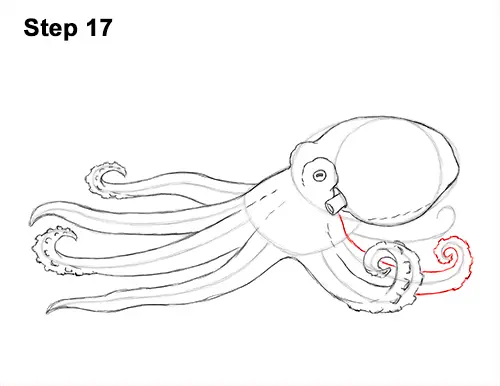How to Draw an Octopus Swimming Tentacles 17