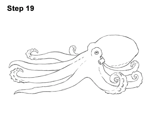 How to Draw an Octopus Swimming Tentacles 19