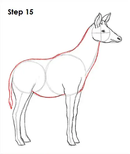 Draw Okapi 15