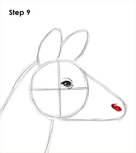 Draw Okapi 9