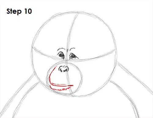 Draw Orangutan Ape 10
