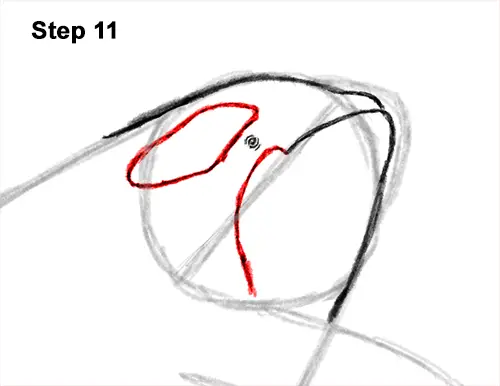 How to Draw a Killer Whale Orca Breaching Jumping 11