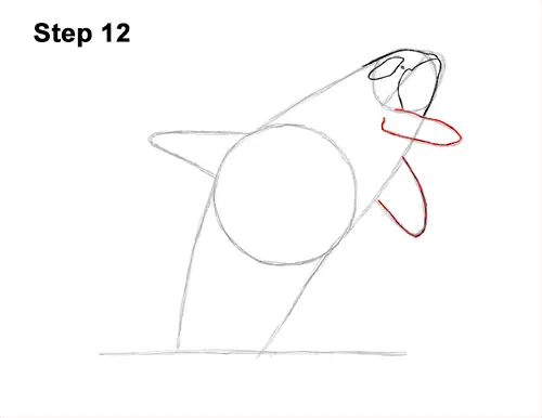 How to Draw a Killer Whale Orca Breaching Jumping 12