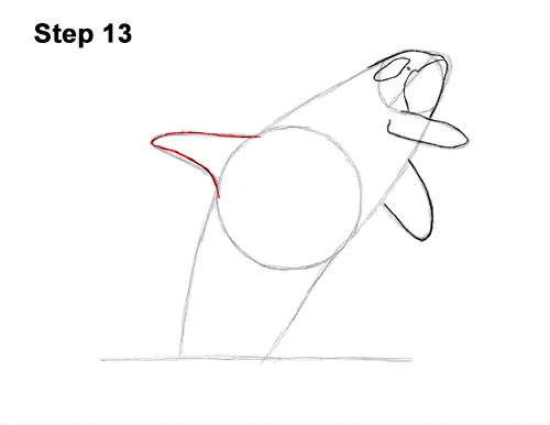 How to Draw a Killer Whale Orca Breaching Jumping 13