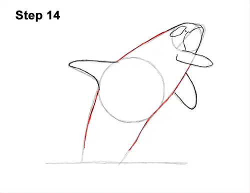 How to Draw a Killer Whale Orca Breaching Jumping 14