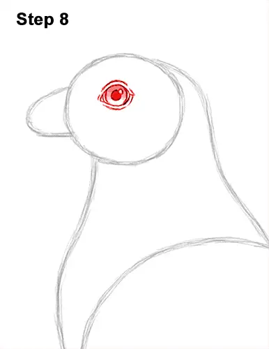 How to Draw Osprey Seahawk Bird Side 8