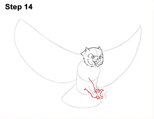 How to Draw a Great Horned Owl Flying Hunting Wings 14