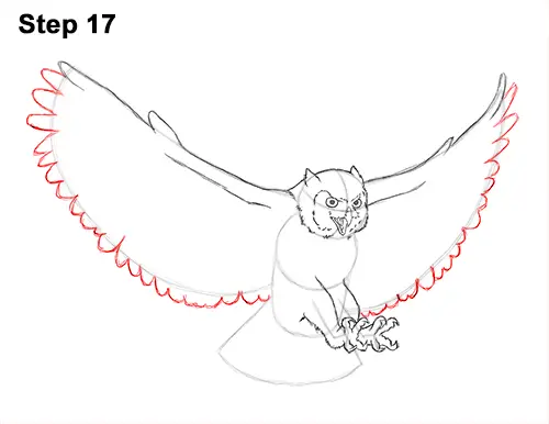 How to Draw a Great Horned Owl Flying Hunting Wings 17