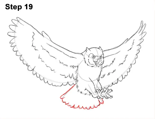 How to Draw a Great Horned Owl Flying Hunting Wings 19