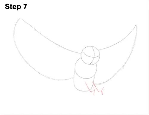 How to Draw a Great Horned Owl Flying Hunting Wings 7