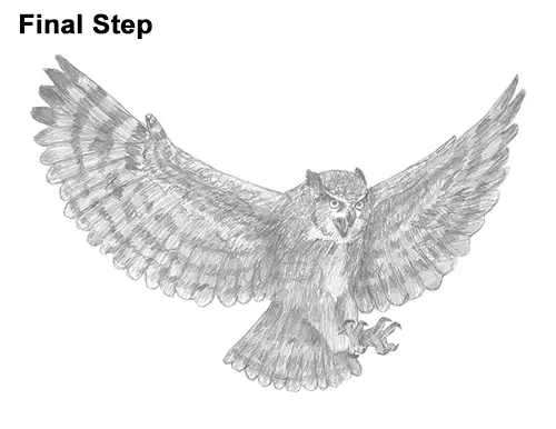 How to Draw a Great Horned Owl Flying Hunting Wings