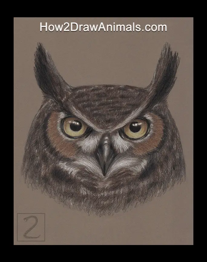 Great Horned Owl Portrait Drawing