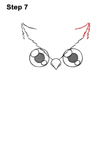 How to Draw Cute Cartoon Owl Chibi 7