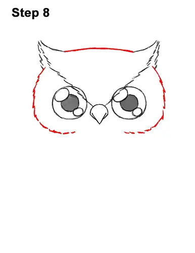 How to Draw Cute Cartoon Owl Chibi 8