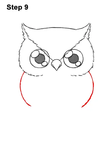 How to Draw Cute Cartoon Owl Chibi 9