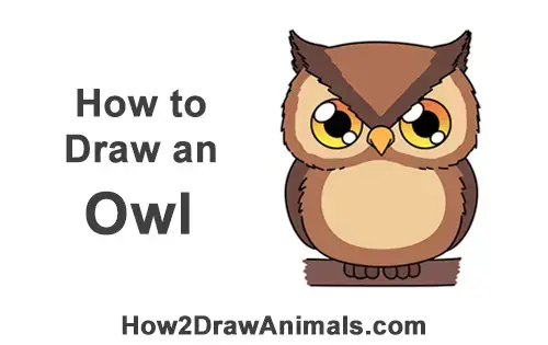 How to Draw an Owl (Cartoon) VIDEO & Step-by-Step Pictures