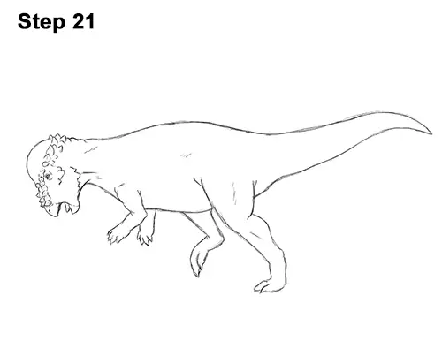 How to Draw Running Charging Pachycephalosaurus Dinosaur 21
