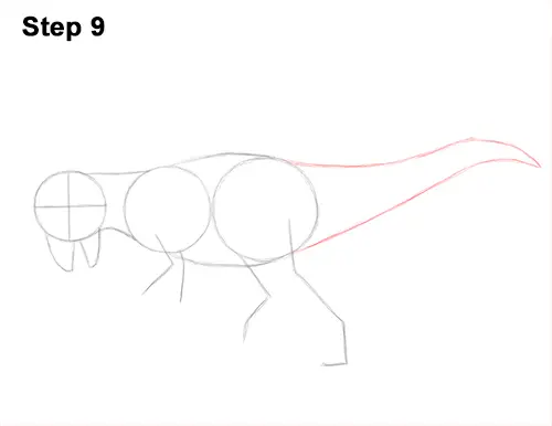 How to Draw Running Charging Pachycephalosaurus Dinosaur 9