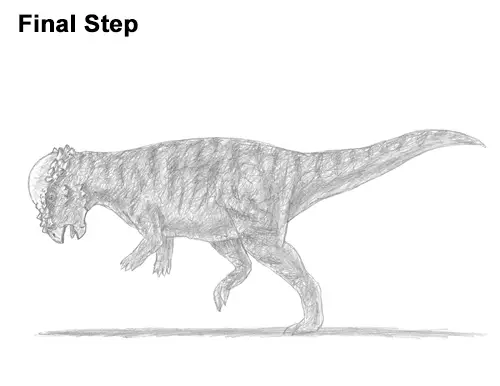 How to Draw Running Charging Pachycephalosaurus Dinosaur