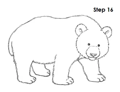 How to Draw a Panda VIDEO & Step-by-Step Pictures