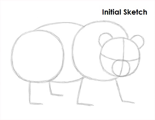 Draw Panda Sketch