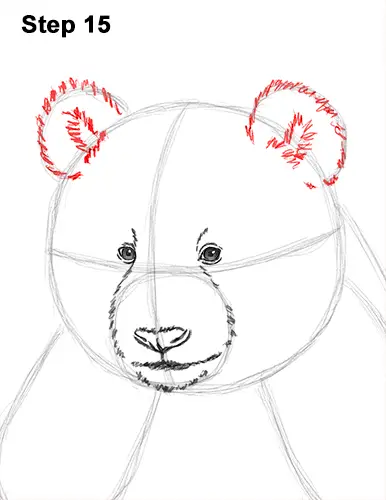 How to Draw Cute Giant Panda Bear Sitting 15