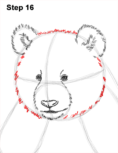 How to Draw Cute Giant Panda Bear Sitting 16