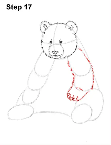 How to Draw Cute Giant Panda Bear Sitting 17