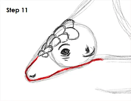 Draw Pangolin 11