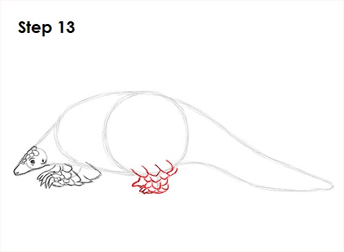 Draw Pangolin 13