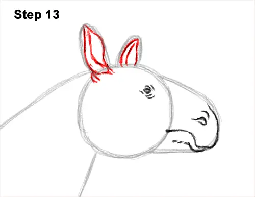 How to Draw a Paraceratherium Indricotherium 13