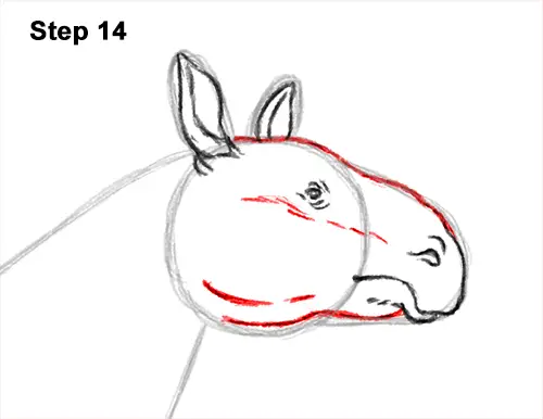 How to Draw a Paraceratherium Indricotherium 14