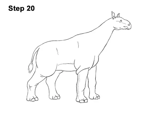 How to Draw a Paraceratherium Indricotherium 20