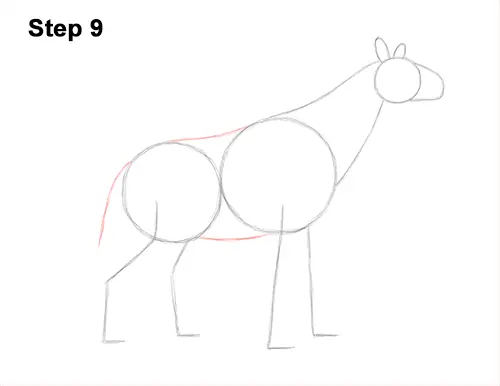 How to Draw a Paraceratherium Indricotherium 9