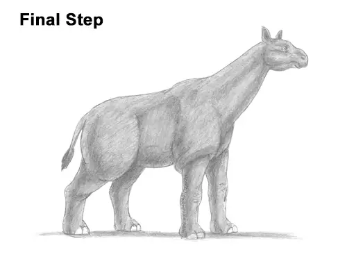 How to Draw a Paraceratherium Indricotherium