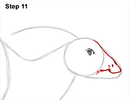 How to Draw a Parasaurolophus Dinosaur 11