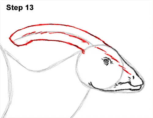 How to Draw a Parasaurolophus Dinosaur 13