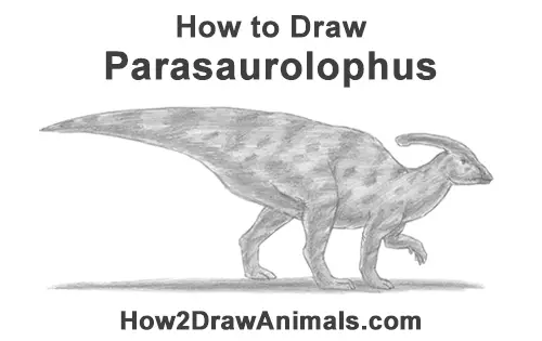 How to Draw a Parasaurolophus Dinosaur